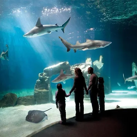 Διαμέρισμα 15, Con Posto Auto